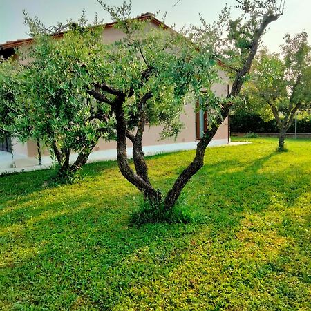 Il Melograno Apartment Lucca Exterior photo